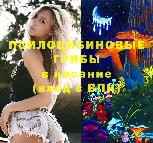 амф Абинск