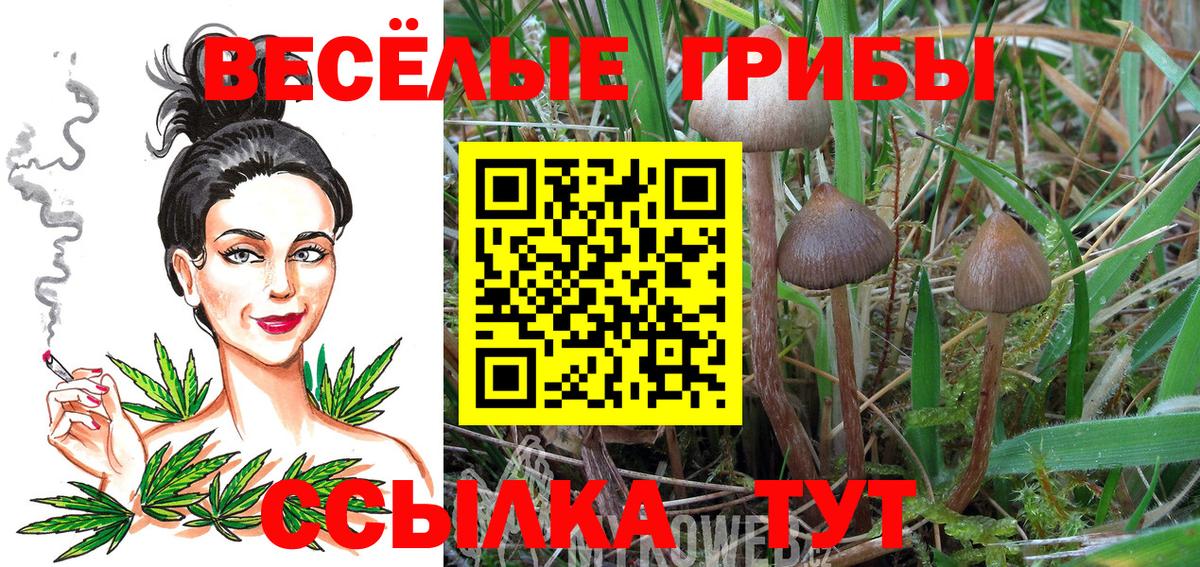Урюпинск  Псилоцибиновые грибы GOLDEN TEACHER  Вход с VPN 